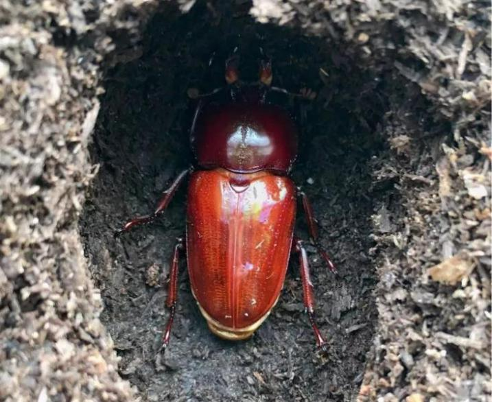 870871882435cae03285c245bb65fc52 870871882435cae03285c245bb65fc52