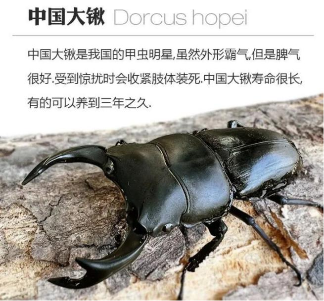 c37676f42690891ea90d66045d93036f c37676f42690891ea90d66045d93036f