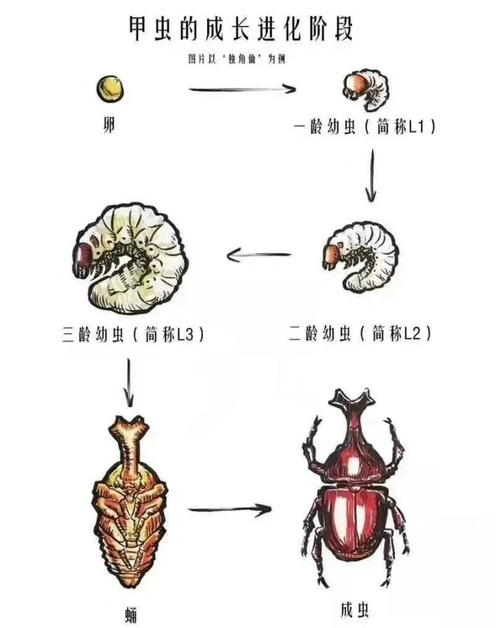 ec86eef1d797bdad17a006a2ebd0d32d ec86eef1d797bdad17a006a2ebd0d32d