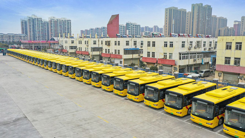 ���ֲ�-�Ƿ�������,�������޿���