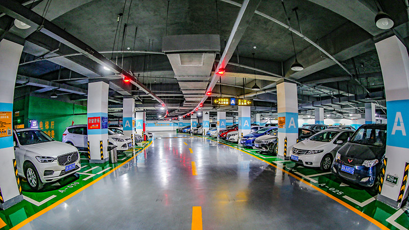 ���ֲ�-�Ƿ�������,�������޿���